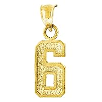 10k Gold Unisex 6 Six Height 22.9mm X Width 7.7mm Sport game Number Charm Pendant Necklace Jewelry for Women