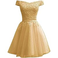 LY Dresses Womens Formal Party Dresses Short Lace Prom Homecoming Dresses