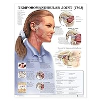 Temporomandibular Joint (TMJ) Anatomical Chart Temporomandibular Joint (TMJ) Anatomical Chart Wall Chart