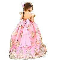 Flower Girls Wedding Bridesmaid Sequins Tulle Charlotte Dresses - Princess Birthday Party Ball Gown