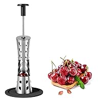 Cherry Pitter, Premium Cherry Pitter Remover Tool, 304 Stainless Steel 12 mm Cherry Seed Remover, Durable Cherry Stoner Fruit Pit Corer Deseeder Kitchen Tool, Press Type -Black