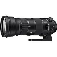Sigma 150-600mm 5-6.3 Sports DG OS HSM Lens for Sigma