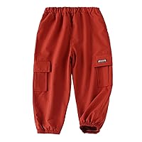 Toddler Baby Boys Casual Cargo Pants with Side Pocket Elastic Waistband Trousers Brick Red 12-18 Months