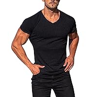 Tshirts Shirts for Men V Neck Fashion 2024 Casual Short Sleeved Summer Knit T Shirt Gifts for Men