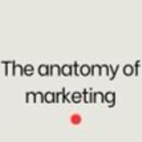 Анатомия маркетинга
