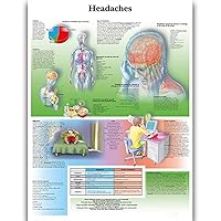 Headaches Science Anatomy Posters for Walls Medical Nursing Students Educational Anatomical Poster Chart Medicine Disease Map for Doctor Medical Enthusiasts Kid's Enlightenment Education Waterproof Canvas
