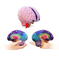 GIANTmicrobes Brain Organ Model Plush, Brain Toy, Brain Gifts for Neurologist, Neurology Gifts, Neuroscience Gifts, Brain Injury Gift, Brain Decor, Biology Gift, Psychology Gifts, Med School Gifts