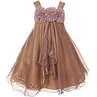 Elegant Empire Waist Floral Design Little Girl Special Occasion Dress