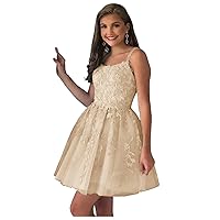 Champagne Short Homecoming Dresses Appliques 2023 A-Line Tulle Prom Party Dress for Juniors 0