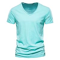 Mens Lightweight Short Sleeve T Shirts Summer Casual Slim Fit Cotton V Neck Muscle Shirts Athletic Running Workout Tee