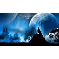 DIY Oil Painting Paint by Number Kit for Adults Kids Beginner 16X20 Inch Moonlight Wolf Fantasy