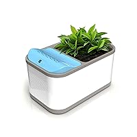 Eva-Dry Dewplanter Compact 2-in-1 Dehumidifier & Self-Watering Indoor Planter - Dehumidify Small Spaces While You Grow Your Favorite Small Plants, Herbs, and Succulents