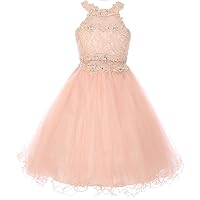 Dazzling Halter Neck Lace Tulle Pageant Easter Graduation Flower Girl Dress 4-20