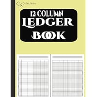 12 Column Ledger Book