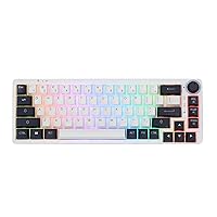 EPOMAKER Theory TH68 Pro 65% 67 Keys RGB Hotswap Programmable Bluetooth 5.0/2.4Ghz Wireless/USB-C Wired Triple Modes Mechanical Gaming Keyboard with Rotary Knob for Win/Mac (Sea Salt Switch)