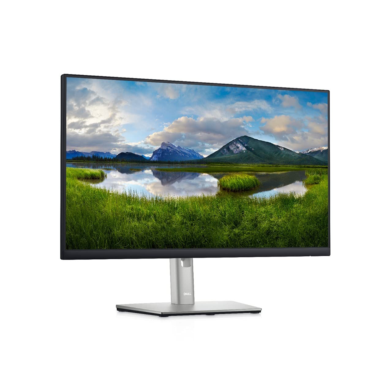 Dell 24 Monitor - P2422HE - Full HD 1080p, IPS Technology, USB-C Hub Monitor with Comfortview Plus,Black