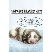 Caring For A Newborn Puppy: Tips And Tricks To Help Your Pregnant Dog And Care For Newborn Puppies
