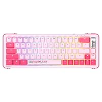 YUNZII Y68 65% Hot Swappable Wireless Mechanical Keyboard with RGB Backlight, Double Shot PBT Keycaps for Gamers/Mac/Win (Gateron Pro Yellow,Y68 Pink)