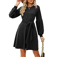 Women's Long Sleeve Crew Neck Ribbed Knit High Waist Sweater Dress with Pockets