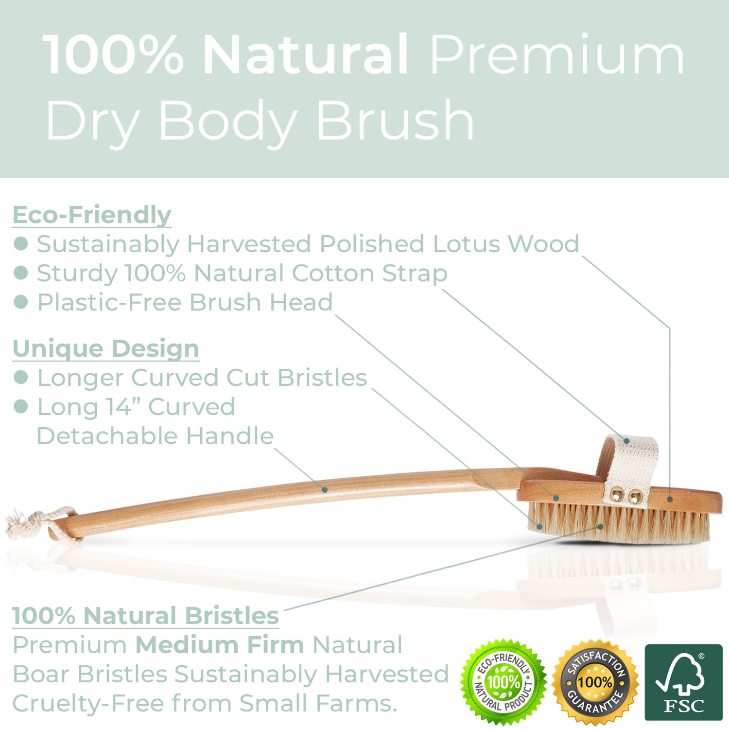 Zen Me Premium Boar Bristle Brush, Exfoliating Brush with Medium Firm Natural Bristles for Cellulite and Lymphatic, Body Scrub Brush with Detox eBook Gift