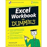 Excel Workbook For Dummies Excel Workbook For Dummies Paperback
