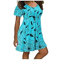 Women’s Plus Size Dress Short Sleeve Round Neck Casual Dress Summer Floral Print Loose Comfy Swing Sundress