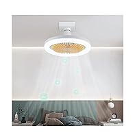 Ceiling Fan with Light Light Socket Fan Flush Mount, Reversible, 3CCT, Dimmable, Noiseless, Black Ceiling Fan for Kitchen, Garage, Bedroom