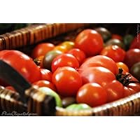 Summer Bounty (1) / Nostalgic Still Life of Rustic Basket of Tomatoes/Fine Art Photography Print