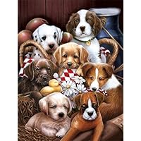 TripStan 3D Home Wall Art Decor Lenticular Pictures, Dog Collection Holographic Flipping Images, 12x16 inches Animal Poster Painting, Without Frame, Cute Dogs