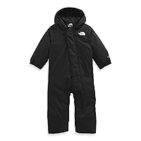 THE NORTH FACE Freedom Snowsuit (Infant)