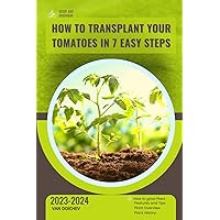 How to Transplant Your Tomatoes in 7 Easy Steps: Guide and overview