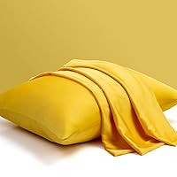 100% Mulberry Silk Pillowcase Set of 2, Queen Size Silk Pillow Cases for Hair and Skin, Silky Smooth Bed Pillow Cover with Hidden Zipper, Gifts for Women Men (20x30, Mimosa Yellow)