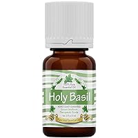 Basil (Holy) Essential Oil - 0.33 Fluid Ounces