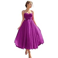 Women's Spaghetti Strap Formal Dress Empire Waist Princess Dress A Line Evening Gowns Pleated Dress Long Tulle Prom Dress