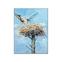 Posters Eagle Nest Wall Art Bird Nest Painting Wild Raptor Bald Eagle Wall Art Bird Poster Decoration Canvas Art Poster And Wall Art Picture Print Modern Family Bedroom Decor 20x26inch(51x66cm) Unfram