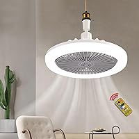 LED Ceiling Fan with Lights, Ceiling Fan, 30W with Remote Control, 3 Colours, Dimmable, LED, 3 Speed Levels, Modern Fan Lighting for Living Room (Grey)