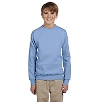 Hanes Youth Crewneck Fleece Closure Sweatshirt Pack 3, Light Blue, X-Small