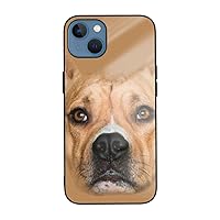 Tempered Glass Phone Case Pit Bull Terrier Compatible with iPhone 13 13 Mini and iPhone 13 5g, 13 Shockproof Phone Case for iPhone 13/12/Xr/11/7/8 Ip13 Mini-5.4in