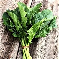 Spinach, Bloomsdale Long Standing Spinach Seeds, Heirloom, Non GMO, 50 Seeds,
