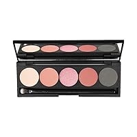 5 Color Eyeshadow Palette (Wild Berry)