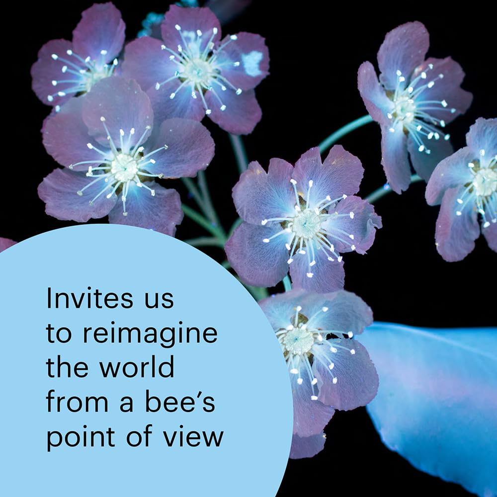 What the Bees See: A Honeybee's Eye View of the World