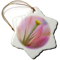 3dRose Doreen Erhardt Floral - Pink Lily - Ornaments (orn-15439-1)