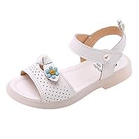 Children Shoes Fashion Flower Thick Sole Sandals Soft Sole Comfortable Princess Sandals Toddler Sandals Jelly