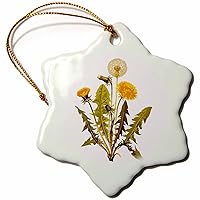 3dRose Vintage Floral Yellow Dandelion Flowers Botanical Art Illustration - Ornaments (orn-364632-1)