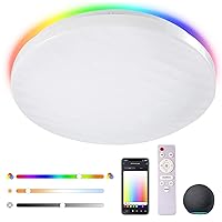 Bedroom Ceiling Light with APP Control, 13 Inch 18W Dimmable Modern Ceiling Light Compatible with Alexa, Siri & Google Home LED Ceiling Light Fixture for Bedroom/Living Room