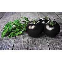 100 Black Cherry Tomato Seeds - Made in USA - Dwarf Fruit Seeds