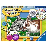 Ravensburger Painting by Numbers Kitten and Bunny 27840 [German Language Version]