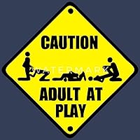 Sex is how adults play