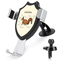 Anatomy of A Squirrel Novelty Phone Holders for Car Cell Phone Car Mount Hands Free Easy to Install
