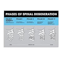 Spinal Degeneration Level Chart Demonstration Chart Spinal Subluxation Art Poster (1) Canvas Poster Wall Art Decor Print Picture Paintings for Living Room Bedroom Decoration Unframe-style 12x08inch(30